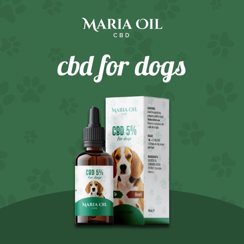 Aceite de CBD 5% para perros - Imagen 7