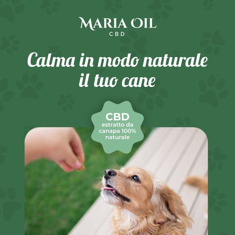 Croquetas para perros CBD con carne de Vacuno y Cerdo - Imagen 3