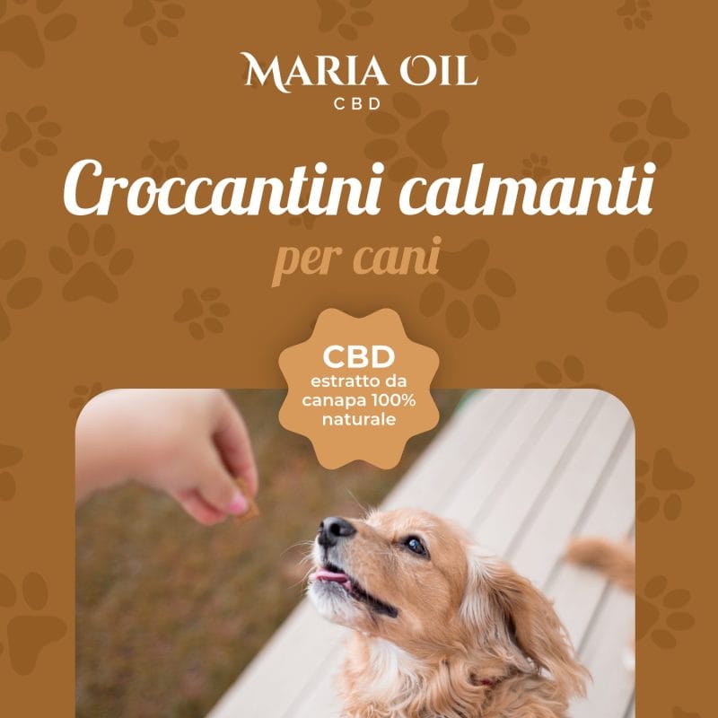CBD Croquetas para perros Pollo y Pavo - Imagen 3