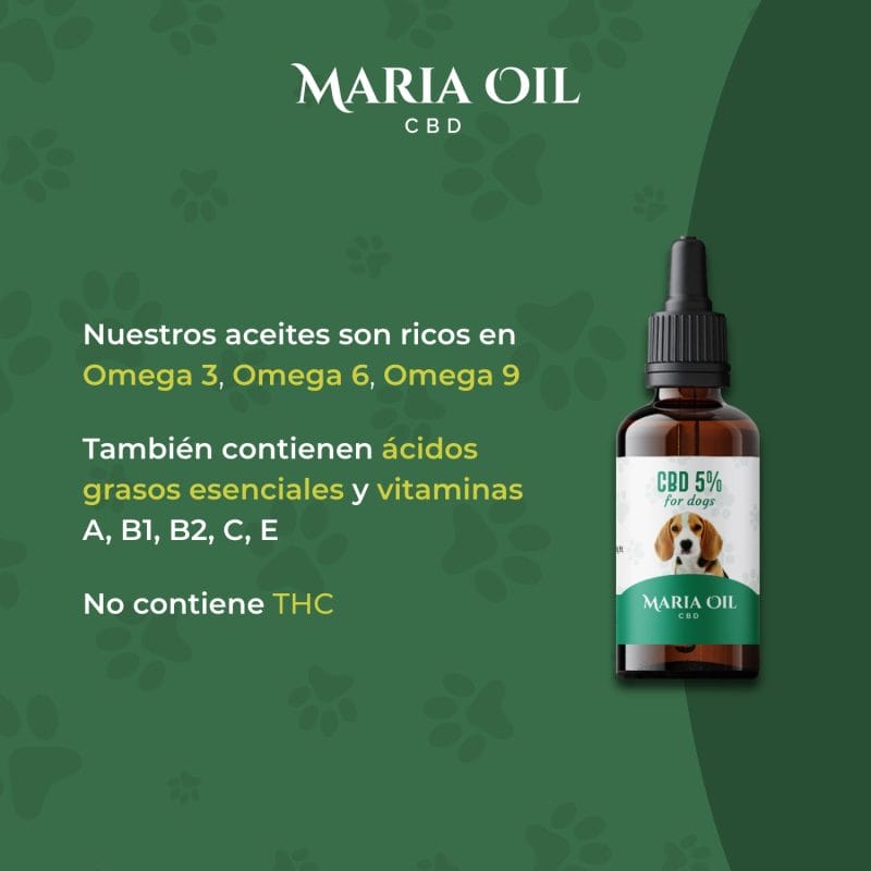Aceite de CBD 5% para perros - Imagen 2