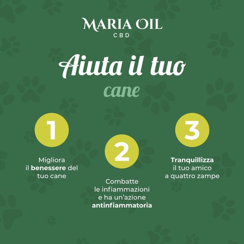 Aceite de CBD 5% para perros - Imagen 6
