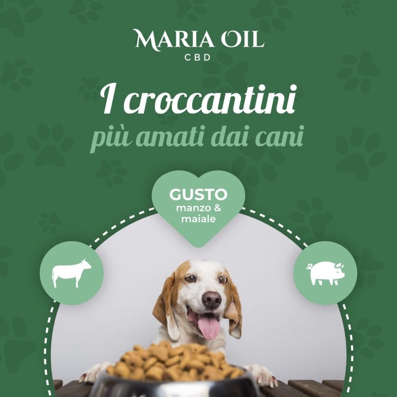 Croquetas para perros CBD con carne de Vacuno y Cerdo - Imagen 6