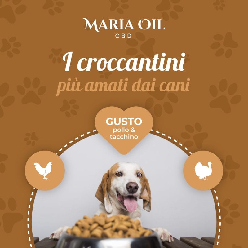 CBD Croquetas para perros Pollo y Pavo - Imagen 6
