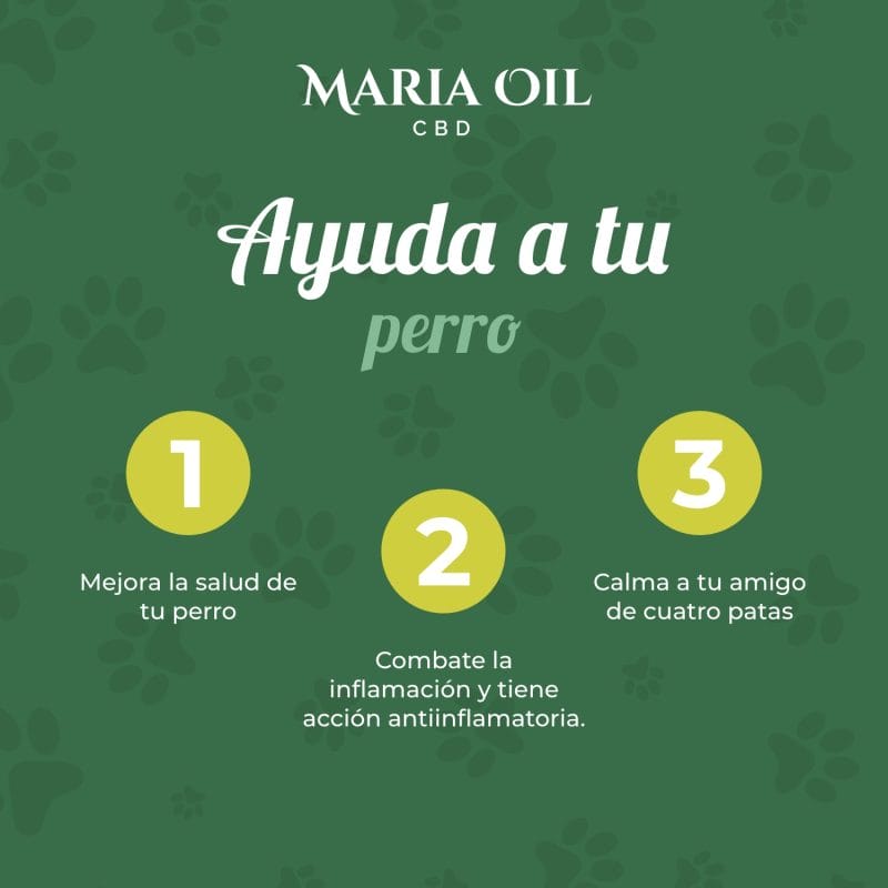 Aceite de CBD 5% para perros - Imagen 4