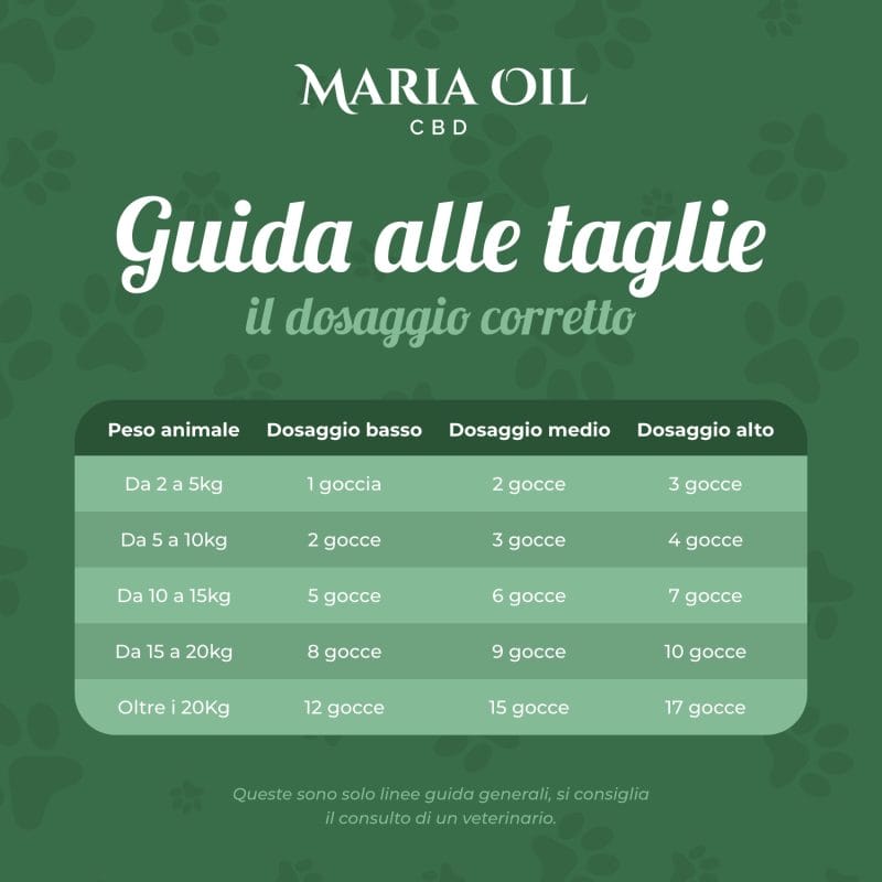 Aceite de CBD 5% para perros - Imagen 7