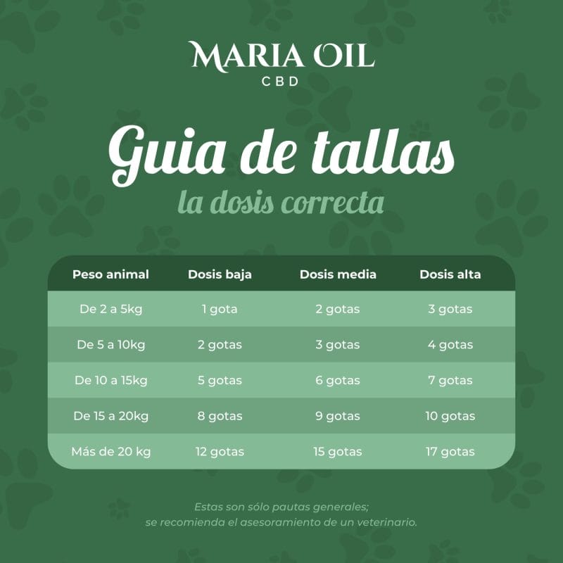 Aceite de CBD 5% para perros - Imagen 5
