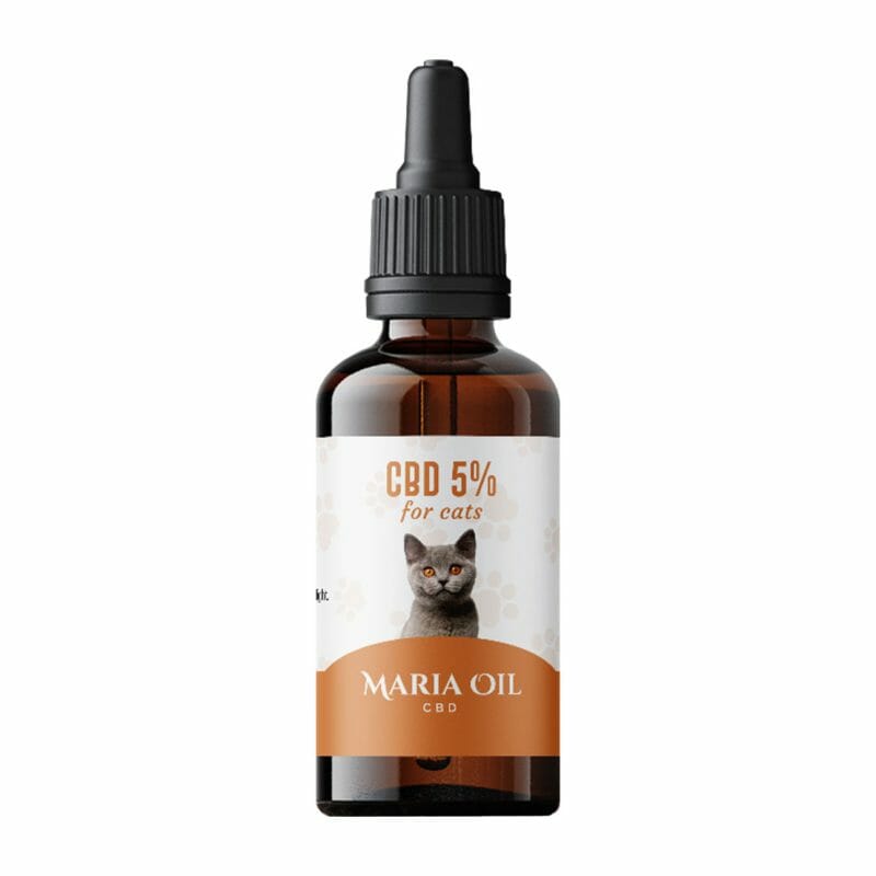 Aceite de CBD 5% para gatos - Imagen 2