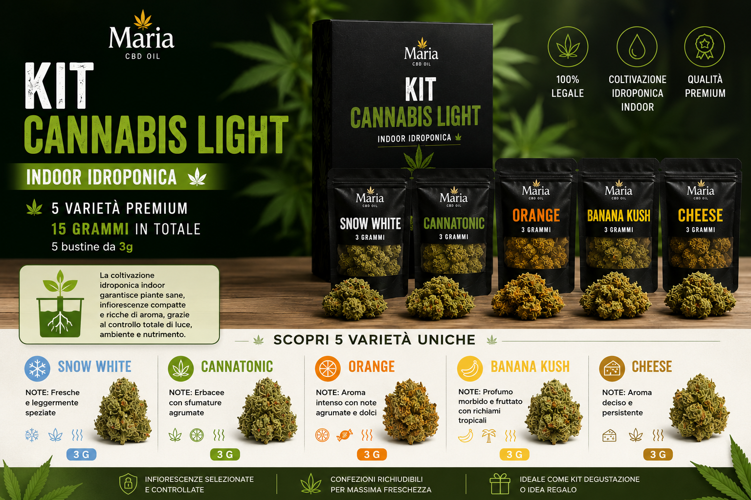Infografica del Kit Cannabis Light Indoor Idroponica Maria CBD Oil con 5 varietà premium: Snow White, Cannatonic, Orange, Banana Kush e Cheese.