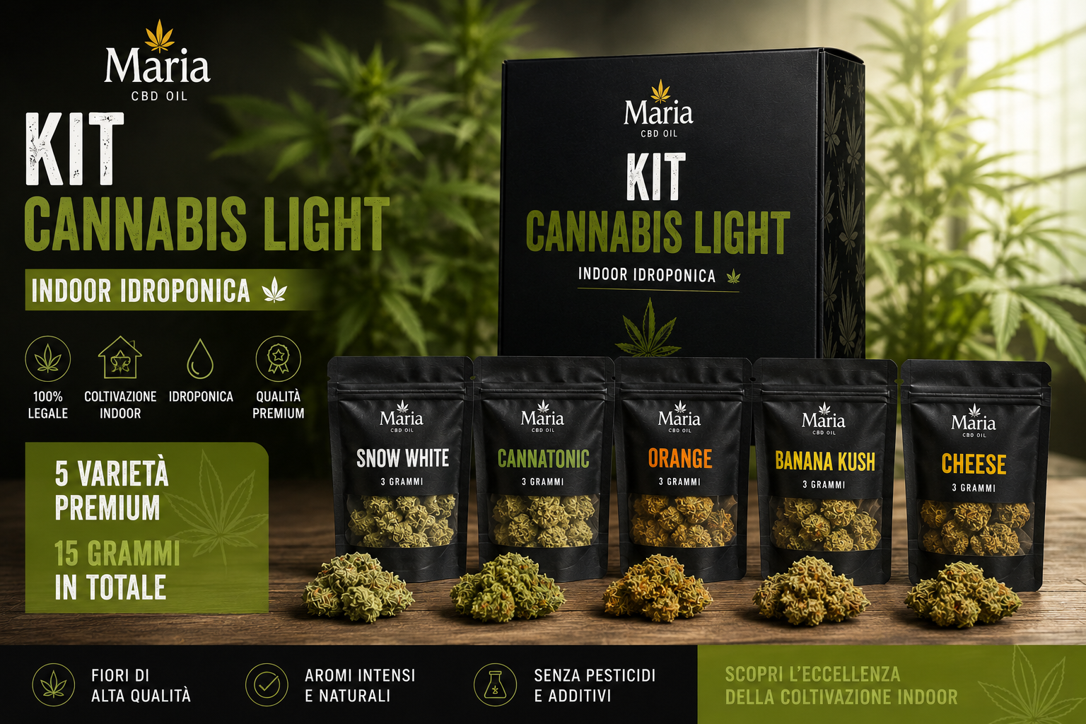 Kit Cannabis Light Indoor Idroponica Maria CBD Oil con 15 grammi di infiorescenze premium: Snow White, Cannatonic, Orange, Banana Kush e Cheese.