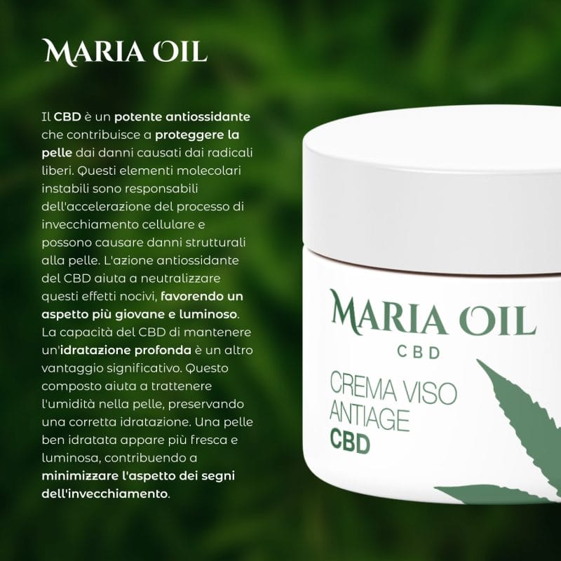 Crema Facial Antiedad con CBD - Imagen 5