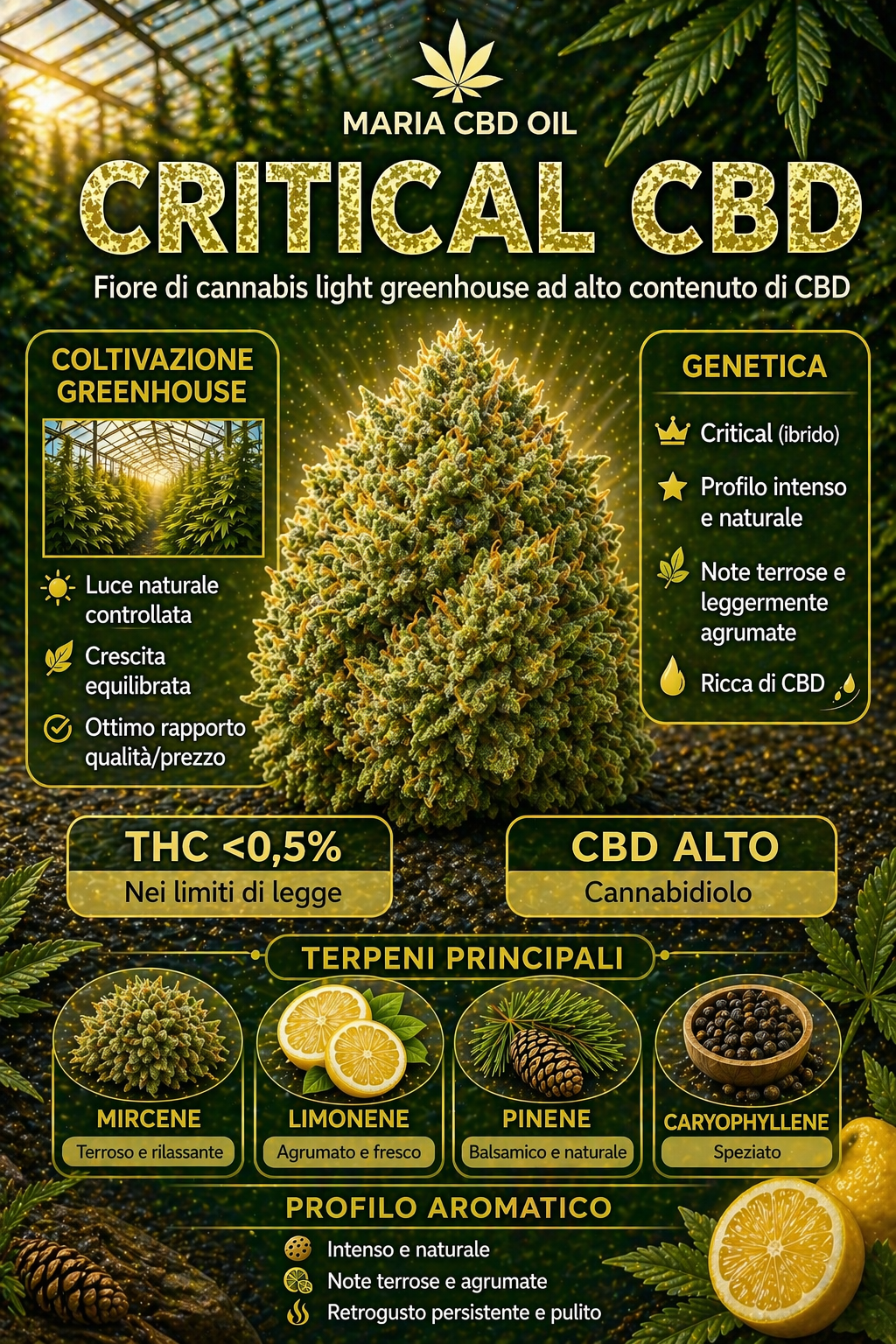 Critical CBD