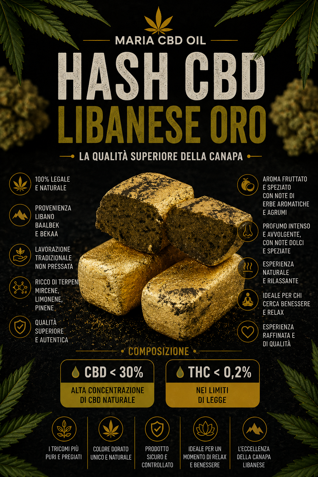 Oro Libanés (Edición Limitada) | Hachís Legal - Imagen 2