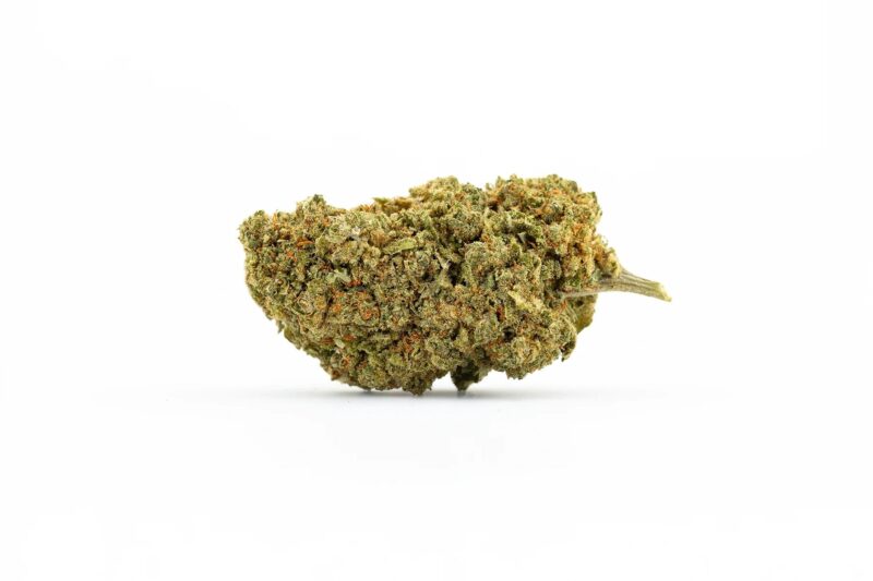 mimosa cbd cannabis